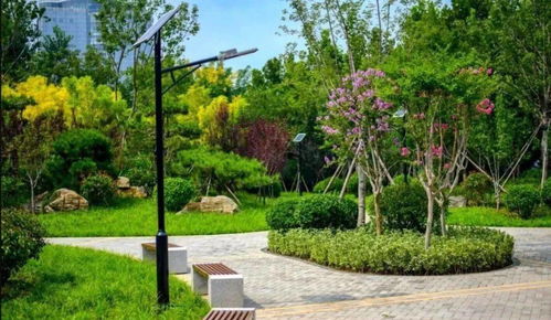 济南这里将开放一城市公园 3.1万平,紧挨一名泉